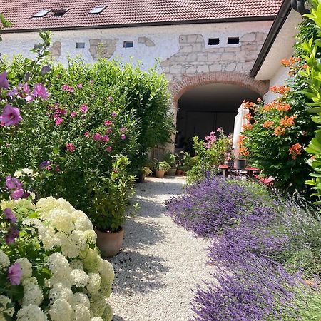 Haus Diogenes Appartement Mörbisch am See Buitenkant foto