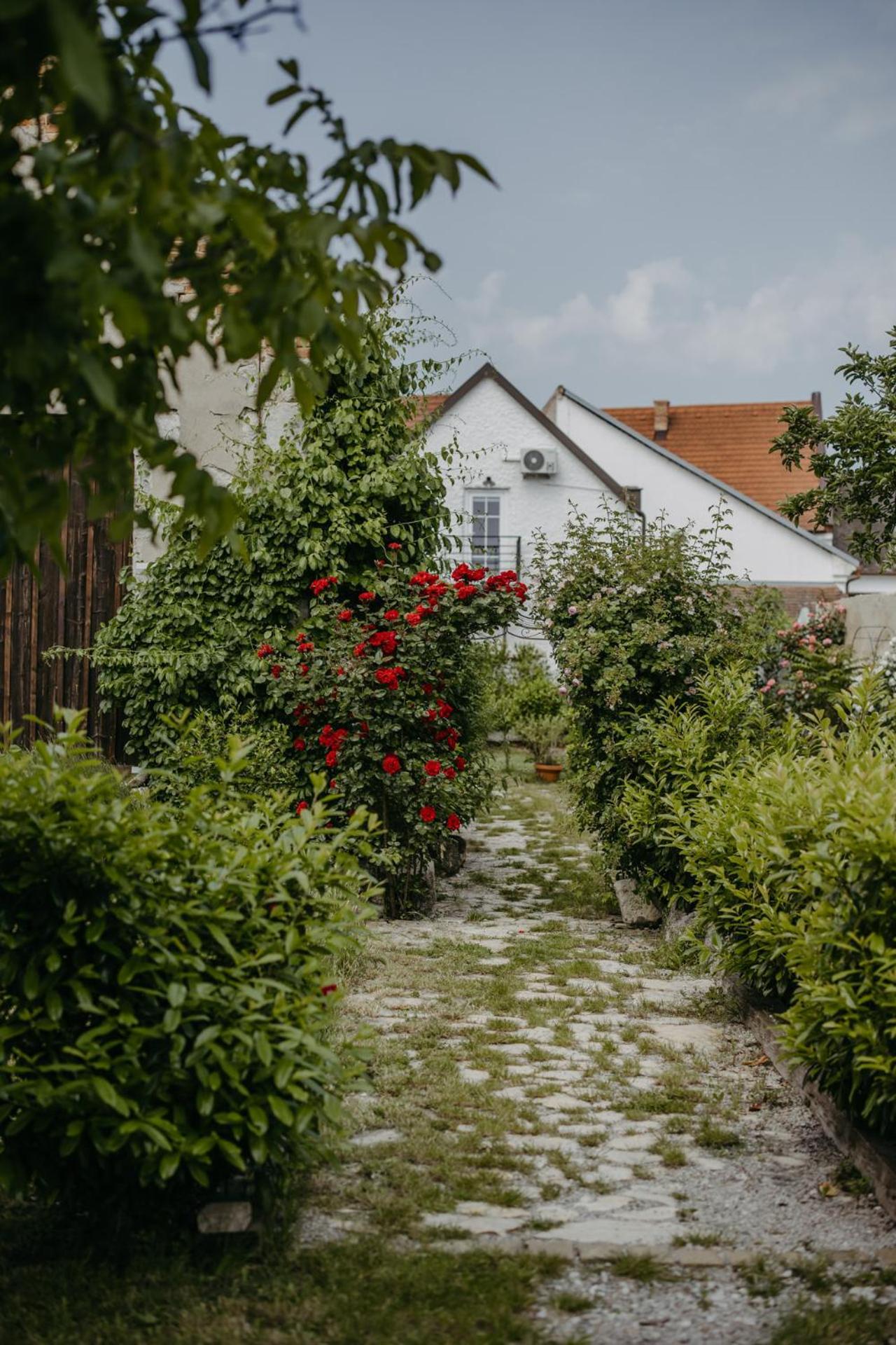 Haus Diogenes Appartement Mörbisch am See Buitenkant foto