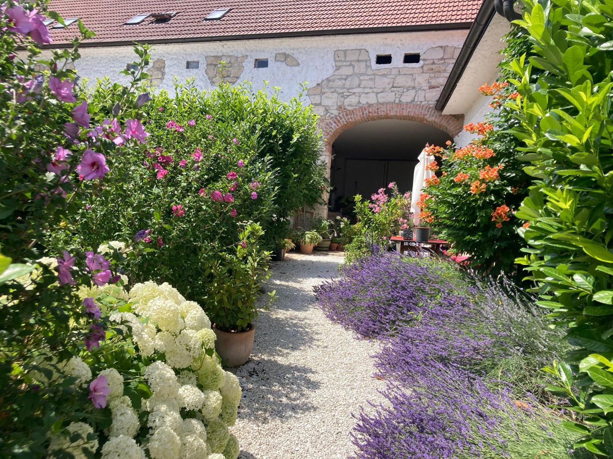 Haus Diogenes Appartement Mörbisch am See Buitenkant foto