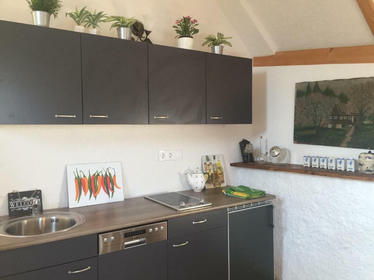 Haus Diogenes Appartement Mörbisch am See Buitenkant foto